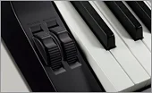 Casio PX-560M